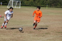 IMG_3657_R