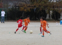 IMG_6033_R