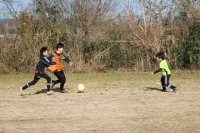 IMG_0962_R