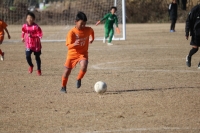 IMG_2940_R