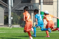 IMG_8201_R