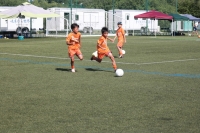 IMG_4331_R