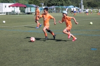 IMG_4334_R
