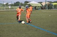 IMG_4337_R