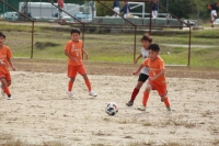 IMG_9461 (2)_R