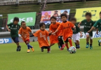 IMG_1248 (2)_R