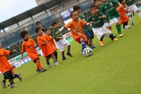IMG_1268 (2)_R