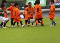 IMG_1386 (2)_R