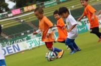 IMG_1538 (2)_R