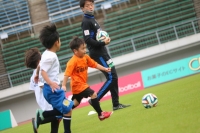 IMG_1641 (2)_R