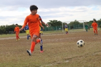 IMG_2012 (2)_R