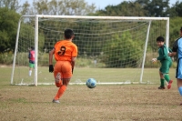 IMG_2087 (2)_R