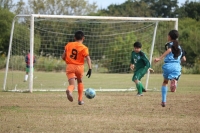 IMG_2089 (2)_R