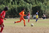 IMG_2225 (2)_R