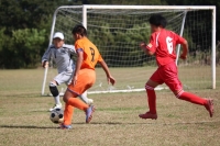 IMG_2340 (2)_R