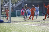 IMG_2367 (2)_R