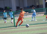 IMG_2484 (2)_R