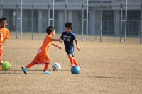 IMG_0039_R