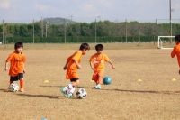 IMG_0050_R