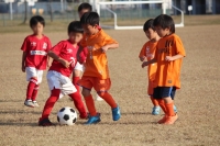 IMG_0272_R