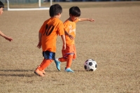 IMG_0273_R