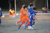 IMG_0661_R