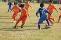 IMG_7329_R