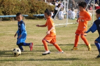 IMG_7339_R