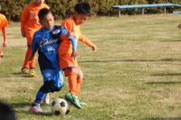 IMG_7340_R