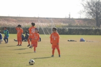 IMG_7353_R