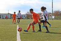 IMG_9050_R
