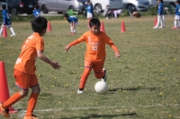 IMG_7724_R