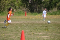 IMG_7855_R