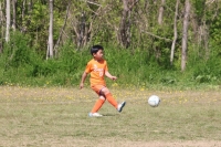 IMG_7898_R