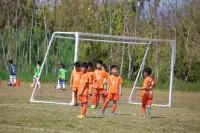IMG_8001_R
