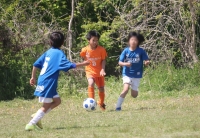 IMG_8219_R