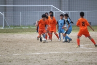 IMG_0376_R