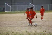 IMG_0537_R